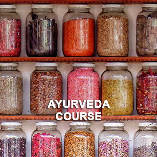 Assortment of herbs representing our Ayurveda Practitioner Course.