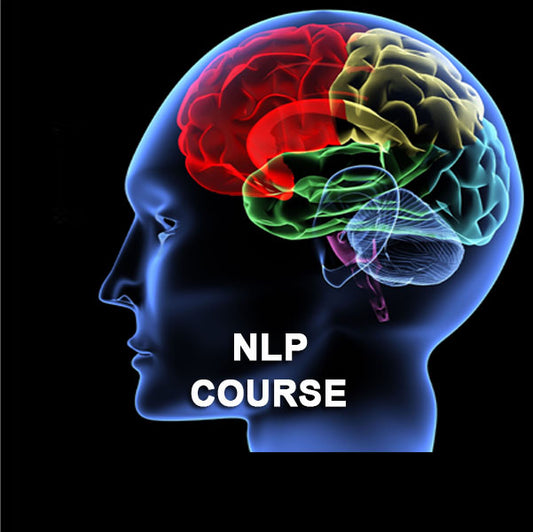 Brain graphic showing our NLP Practitioner Course.